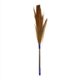 Dinsey Broom
