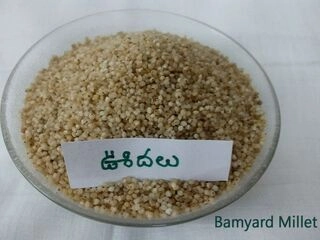 Udalu