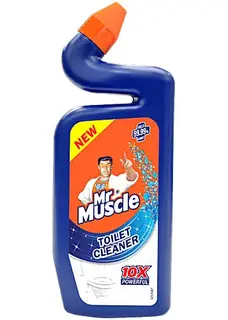 Toilet Cleaner