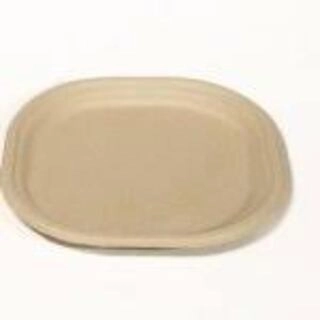 Bagasse Plates 11`