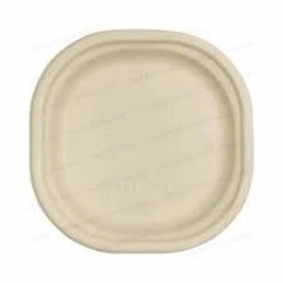 Bagasse Plates 7`