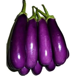 Brinjal Long