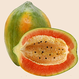 Papaya