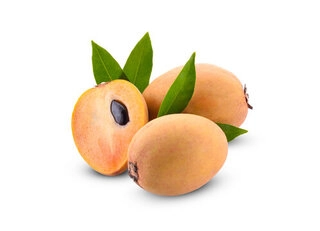 Sapota