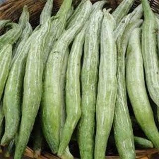 Snake Gourd