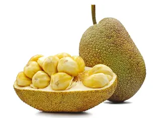 Jack Fruit(Panasa Pandu)