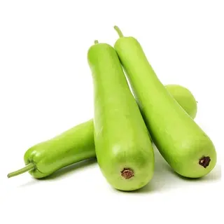 Bottle Gourd