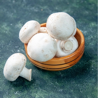 Button Mushroom