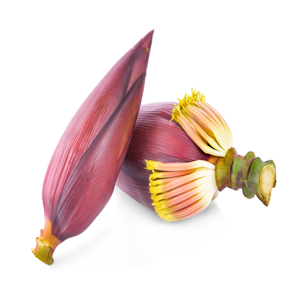 Mocha/Banana Flower