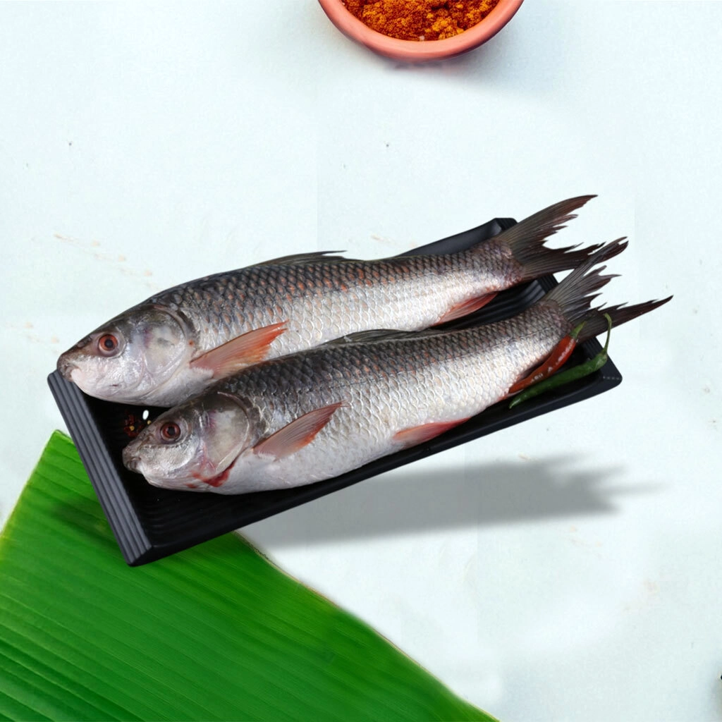 Local Rui Whole - Gada Peti Pcs+Round Pcs, Head 2 Split & With Tail