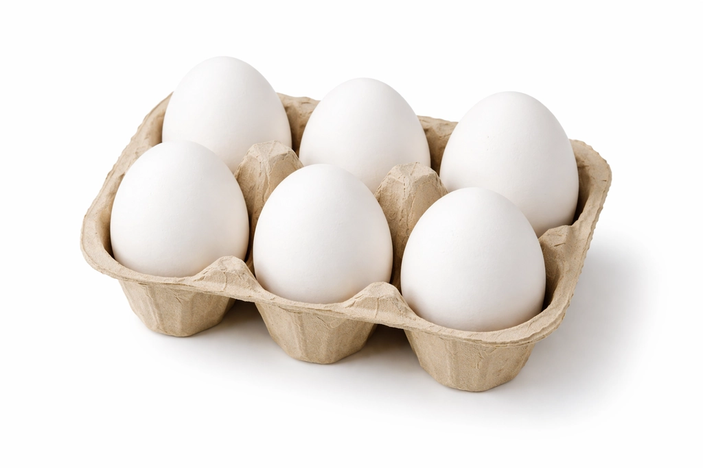Poultry Chicken Egg