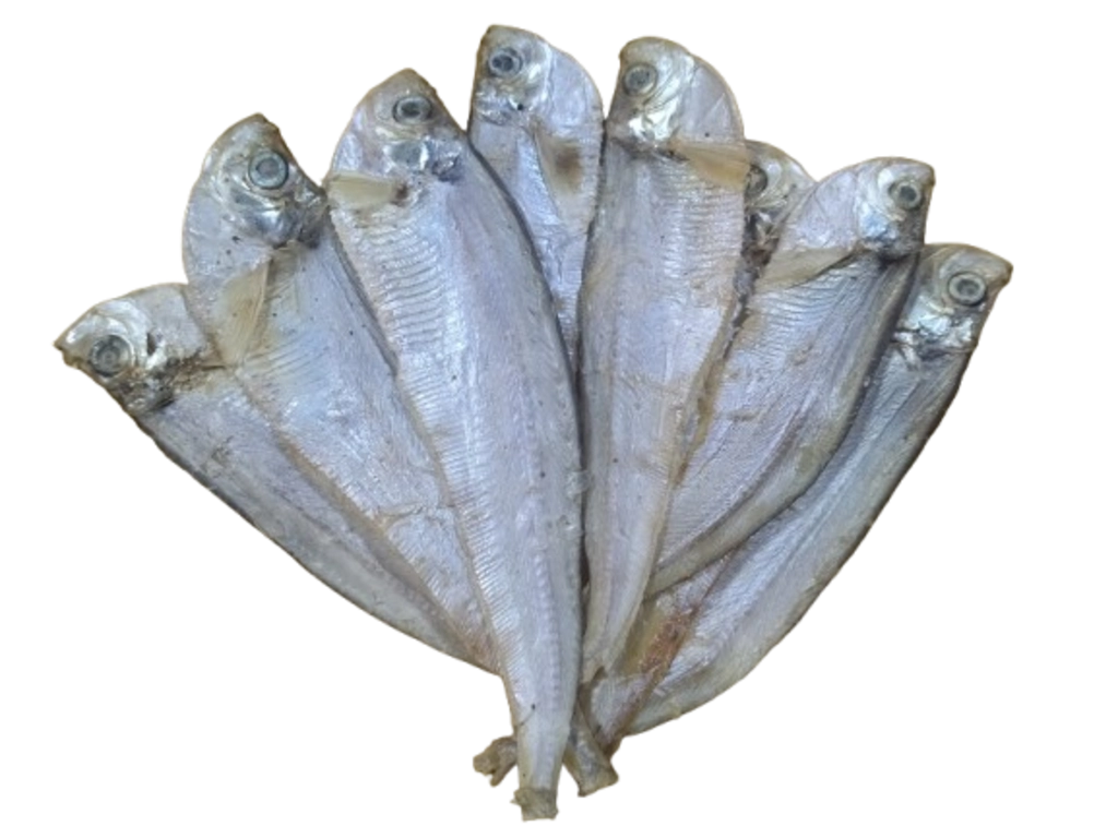 ফাইস্যা শুঁটকি