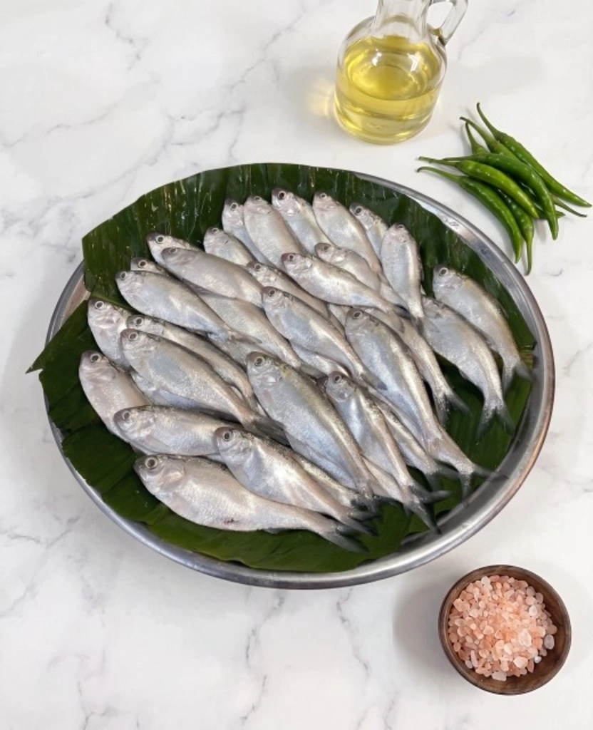 Chapila, Whole Cleaned (45-60 pcs/kg)