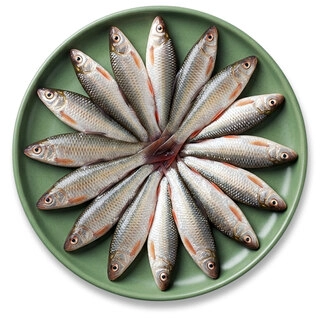 Small Fish