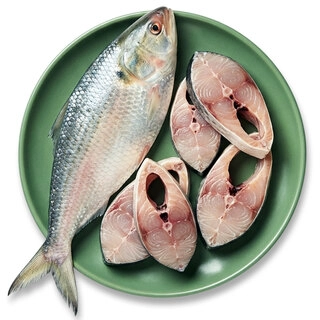 Hilsa
