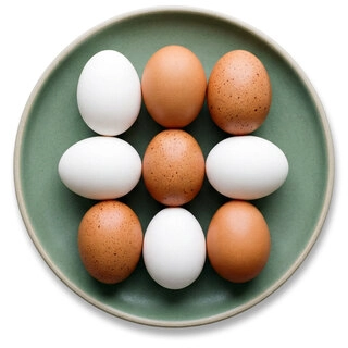 Egg