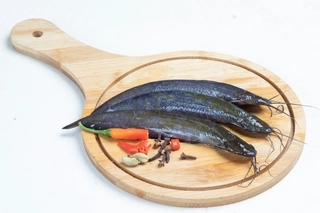 Local Singi - Whole, Cleaned