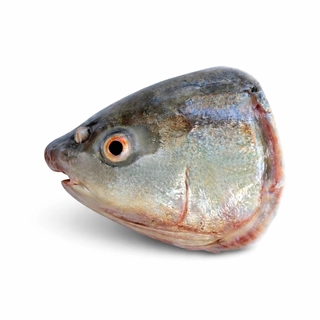Fish Head, Cut & Cleaned