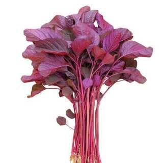 Lal shak (Red Amaranth)