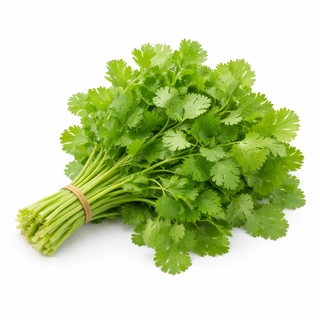 ধনেপাতা (Dhonepata / Coriander Leaves)