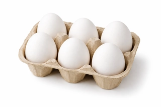 Poultry Chicken Egg