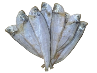ফাইস্যা শুঁটকি