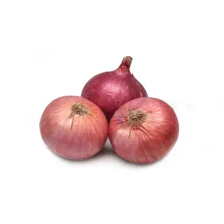 Onion