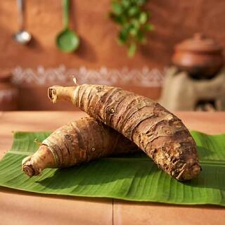 Maan Kochu