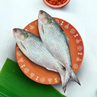 Bangladeshi Hilsa/Ilish Whole - Round Pc, Head Split 2 Pcs, With Tail (1.5 kg - 2.5kg)