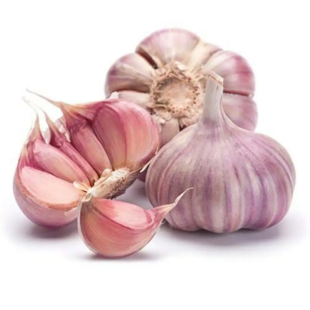 Garlic | लसूण