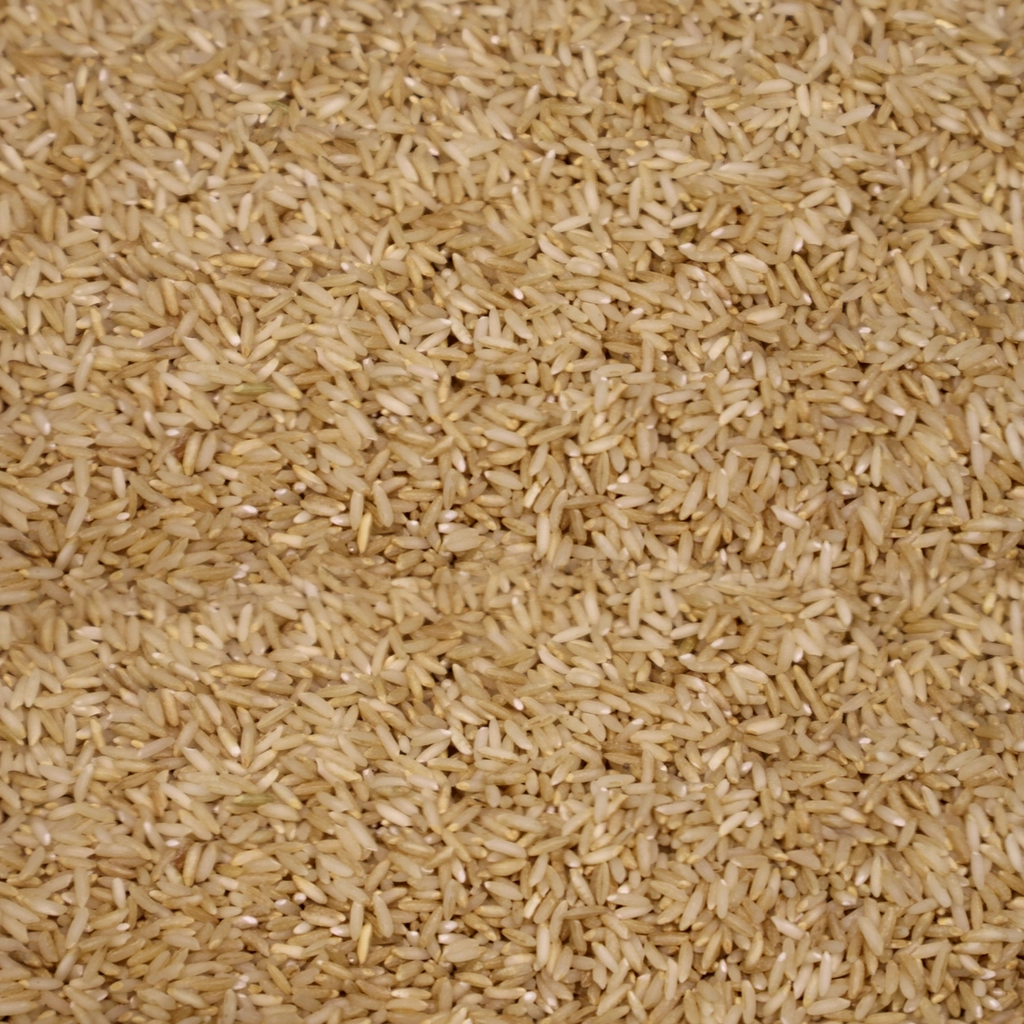SEMI POLISH RICE (SONA)