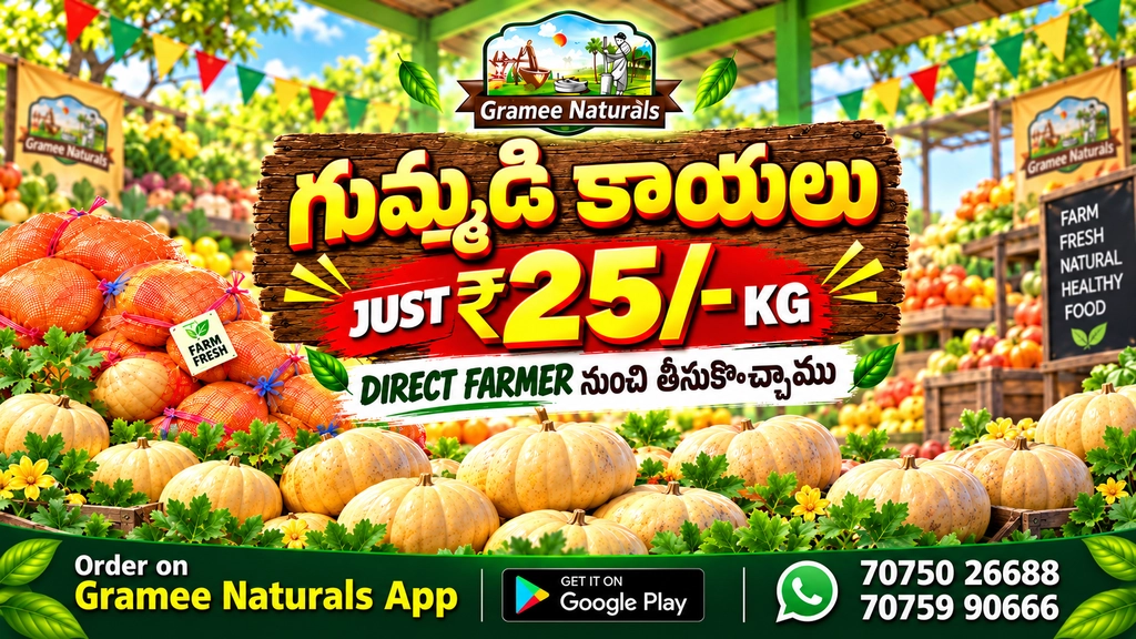 Fresh Pumpkin (Gummadikaya) – ₹25/KG