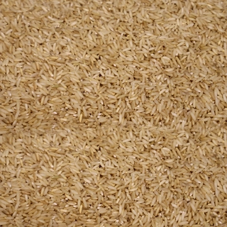 SEMI POLISH RICE (SONA)