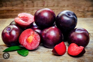 RED PLUM LOOSE