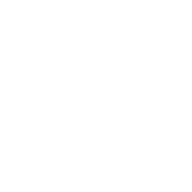 NOODLES