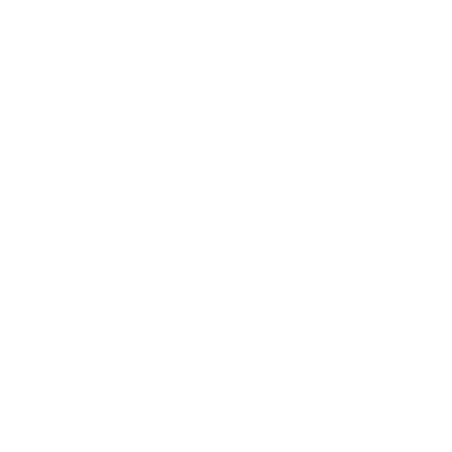 ROTI
