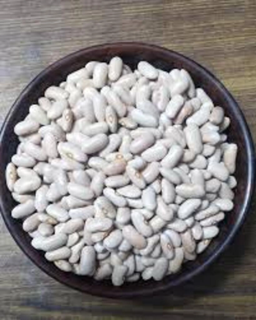 Rajma