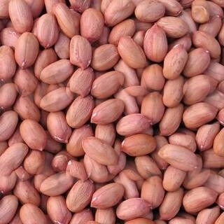 Ground Nut