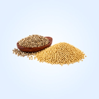 Millets & Grains
