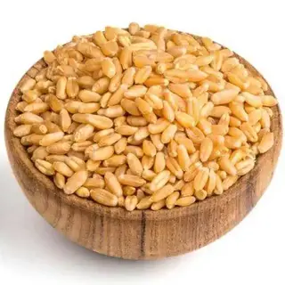 Zafran Wheat Silver 1 Kg