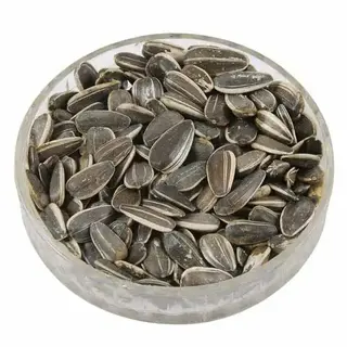 Zafran Sunflower Seeds 100Gm