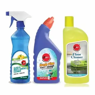 Bdel Flr+Toilt Clnr 2*500Ml