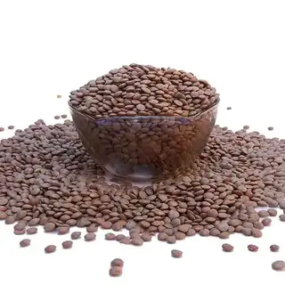 Zafran Akkha Masoor Daal