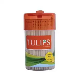 Tulips Tooth Picks 250N