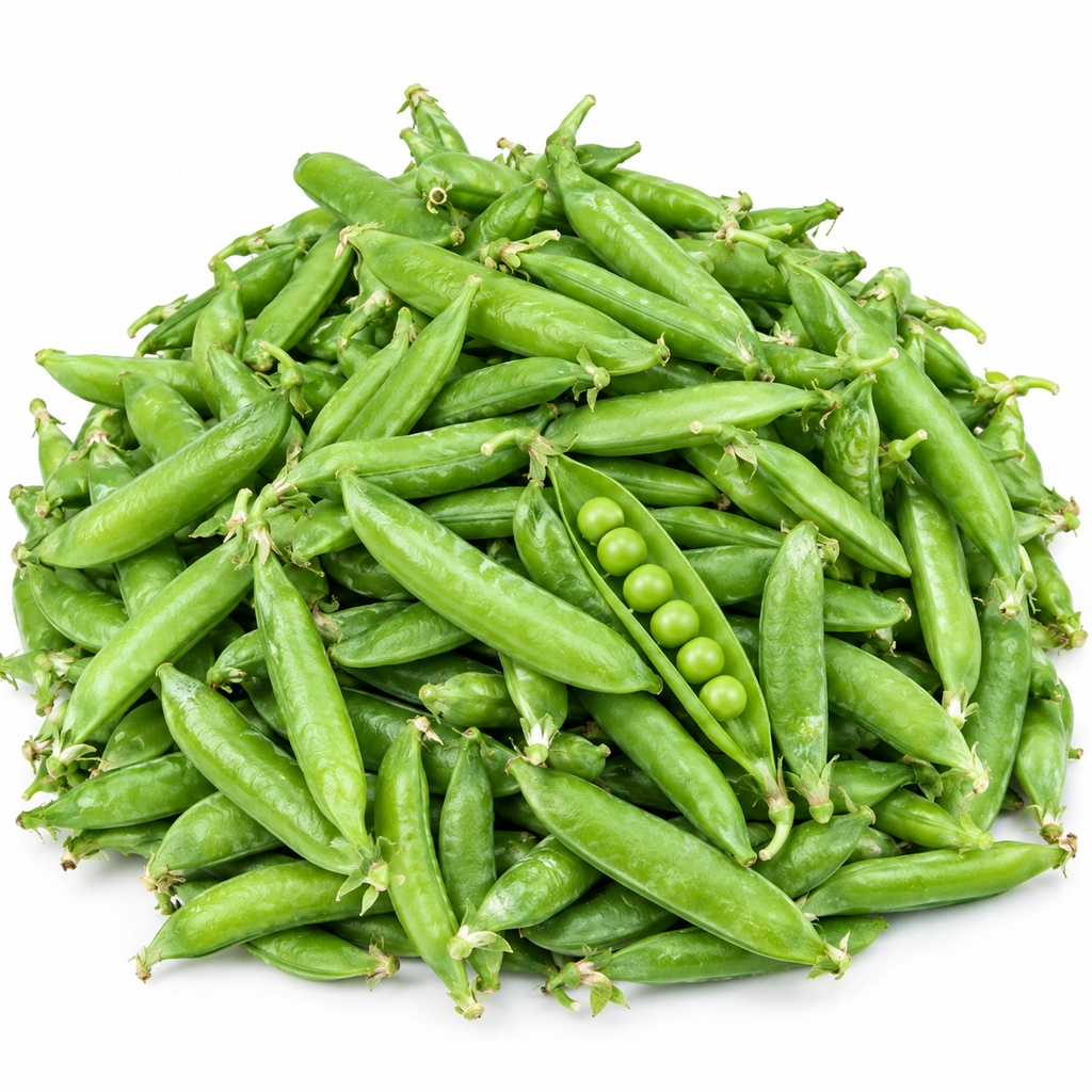 WATANA{BULK}