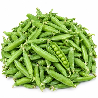 WATANA{BULK}