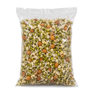 Sprout 1Pkt