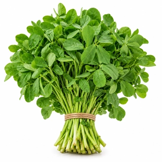 Methi 1Pc
