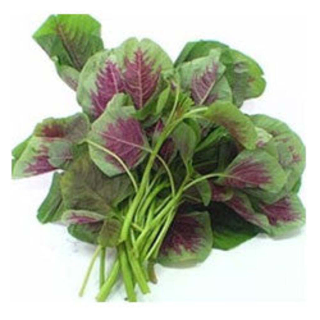 Cholai Saag Green 500 gm