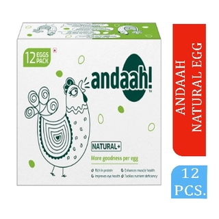 Natural Egg 12 Pcs